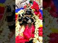 #radharamanharibol #vrindavan #ytshort #shorts #meroradharaman