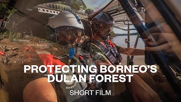 Protecting Borneo