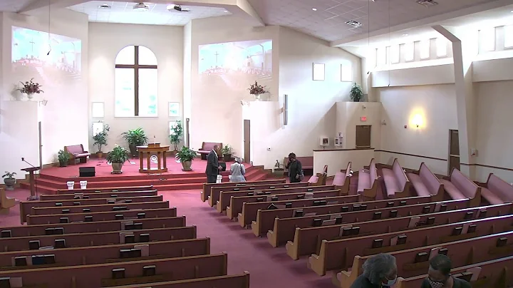 Celebrating the Life Of Vivian Perkins