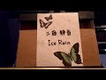 「Ｉｃｅ   Ｒａｉｎ」／工藤静香   歌ってみた。