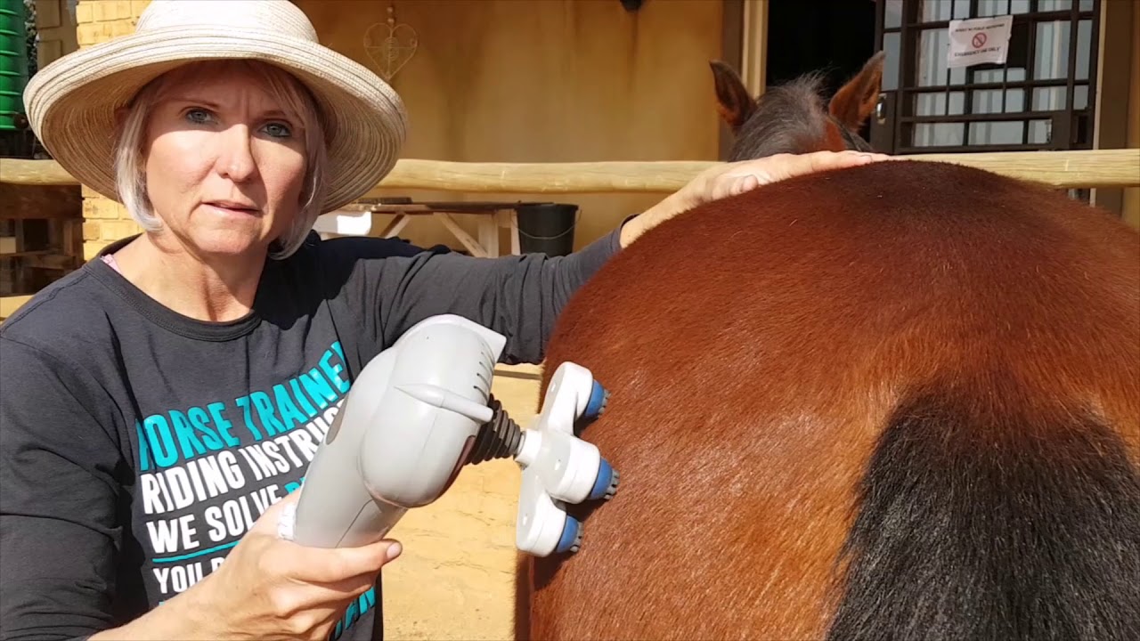 Equine rehabilitation and therapy YouTube