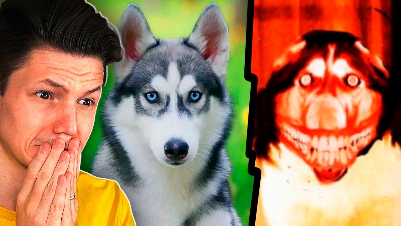 Я думал это милая игра про собачек...