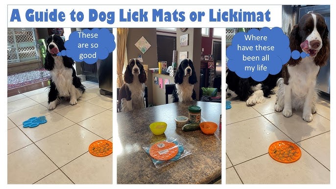 What Are Dog Lick Mats? - Whole Dog Journal