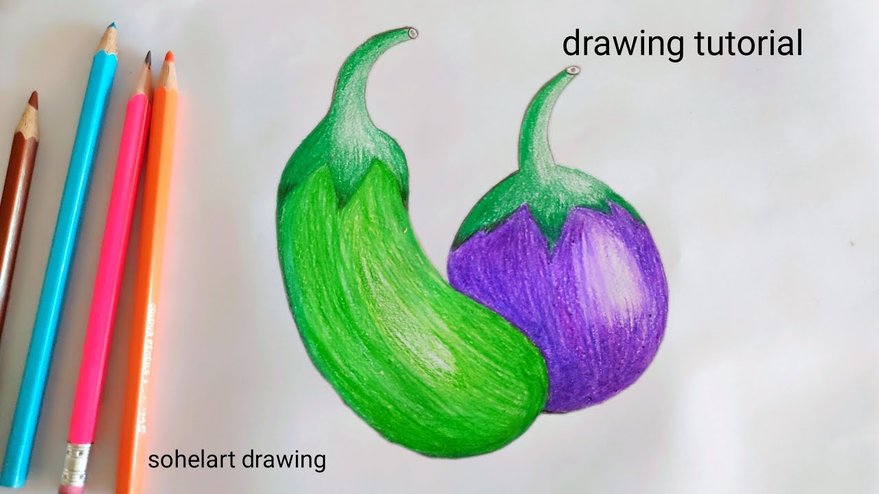 Brinjal drawing step by step easy drawing How to draw eggplant ...