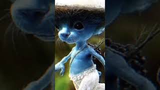 We Leave We Lie We Love Blue Smurf Cat Meme Blue Spider