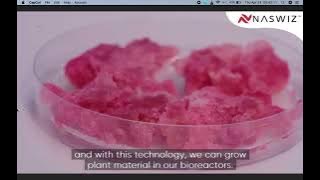 THE APPLE STEM CELLS IN MAXCORTEC