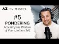 Truth bump 5  pondering  amir zoghi