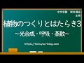 [最も共有された！ √] 呼�� 植物 仕組み 257378-呼吸 植物 仕組み