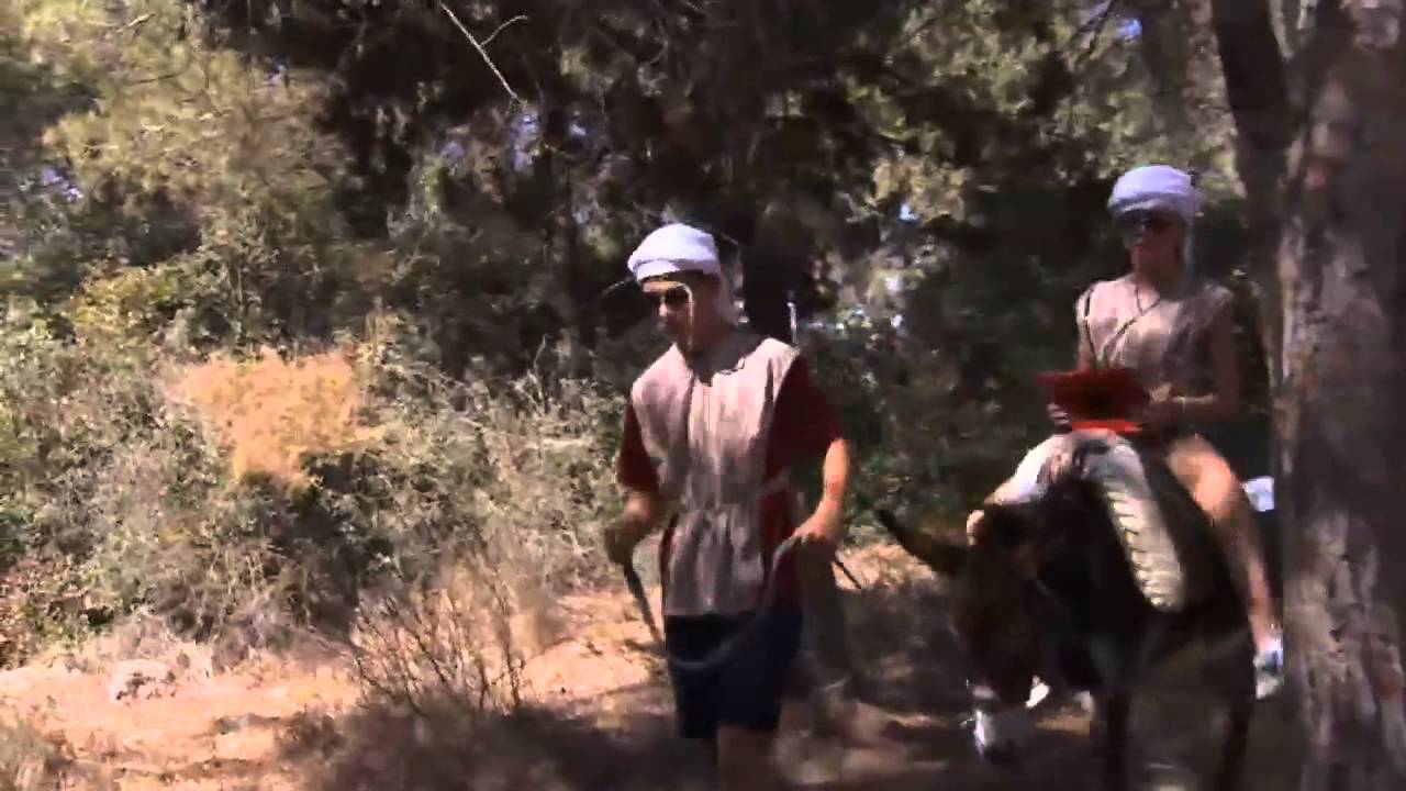 Free WiFi on the back of a donkey in Israel's Galilee