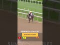 Summer Starlet - Spinaway