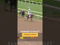 Summer Starlet - Spinaway