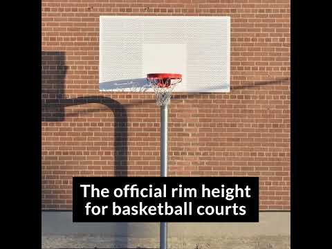 Video: I hvilken højde er en basketballkurv?