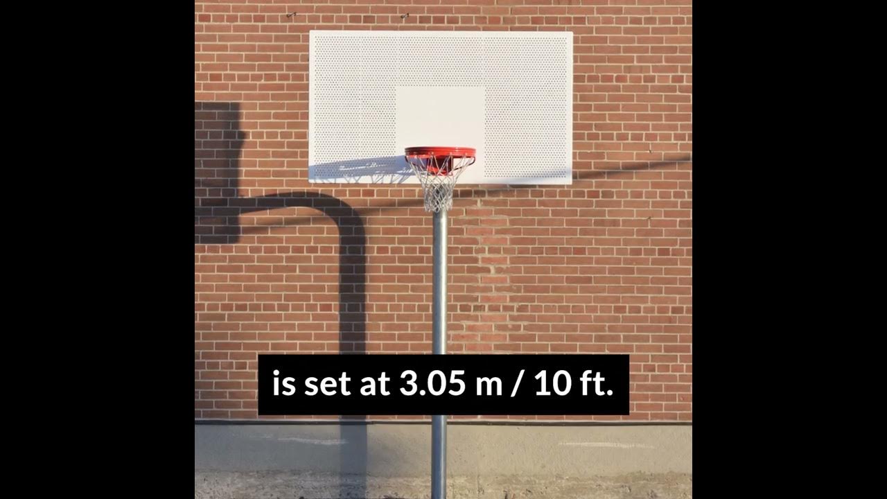 Basketball Rim Height 🗑🏀 basketball shorts YouTube