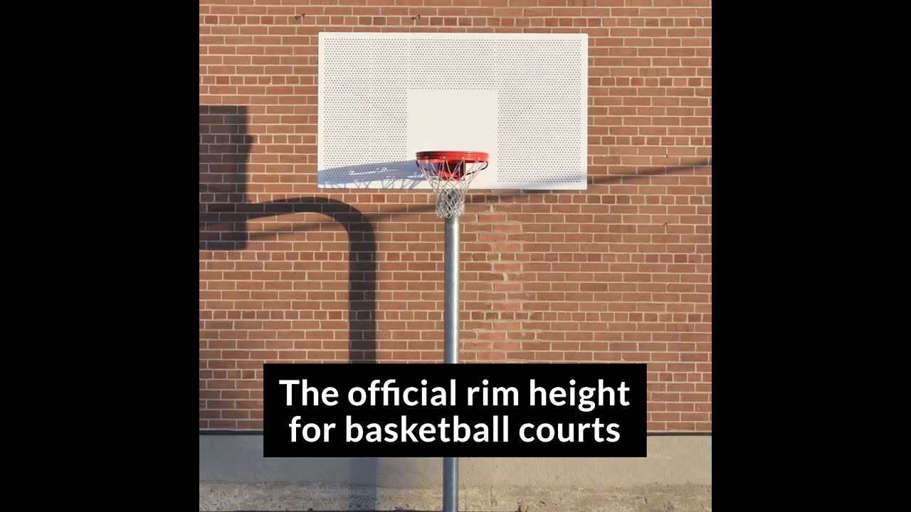 HOT* Portable Basketball Hoop Height-Adjustable System for just $129.99  shipped! (Reg. $400+) {Black Friday Deal} | Money Saving Mom®