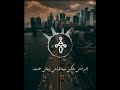 محمد سعيد عارف تستاهلي حد غيري بس لسه شايف