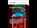 #защита от вируса