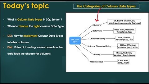 Part 5: SQL Column Data Types | Rule of Insert | Update| Delete data | Truncate data from db table