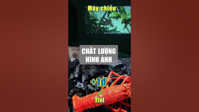 Nên mua tivi hay máy chiếu? • Siêu Thị Điện Máy HC #dienmayhc ...