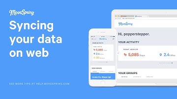 How to Sync Step Data on Web