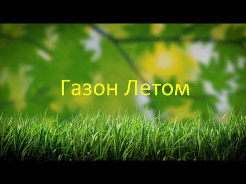 Уход за газоном в конце весны и летом