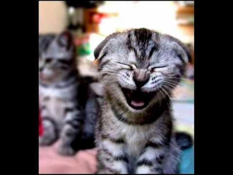 Preguntas tontas de yahoo- loquendo- parte 3