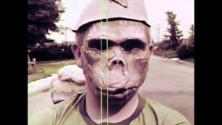 The Felice Brothers | Life In The Dark, &quot;Aerosol Ball&quot;