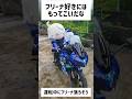 【原神】フリーナ好きにはお値段高くても買いそう #shorts #原神 #genshinimpact #funny #genshin #フリーナ