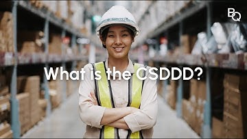The EU CSDDD Guide: What It Is, Compliance, and Requirements