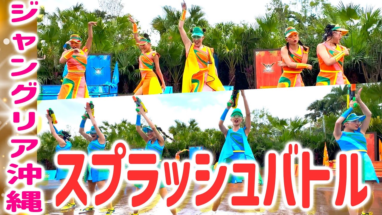 動画を再生