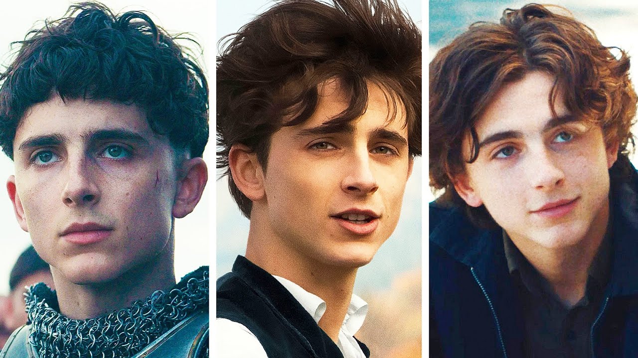 Why Timothe Chalamet Is Universally Attractive