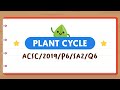 Understanding Plant Support and Root Functions