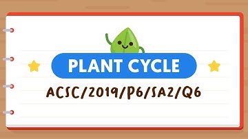 PSLE SCIENCE MADE SIMPLE EP39 | Plant Cycle | Supporting Young Plants With Wooden Poles 🌱