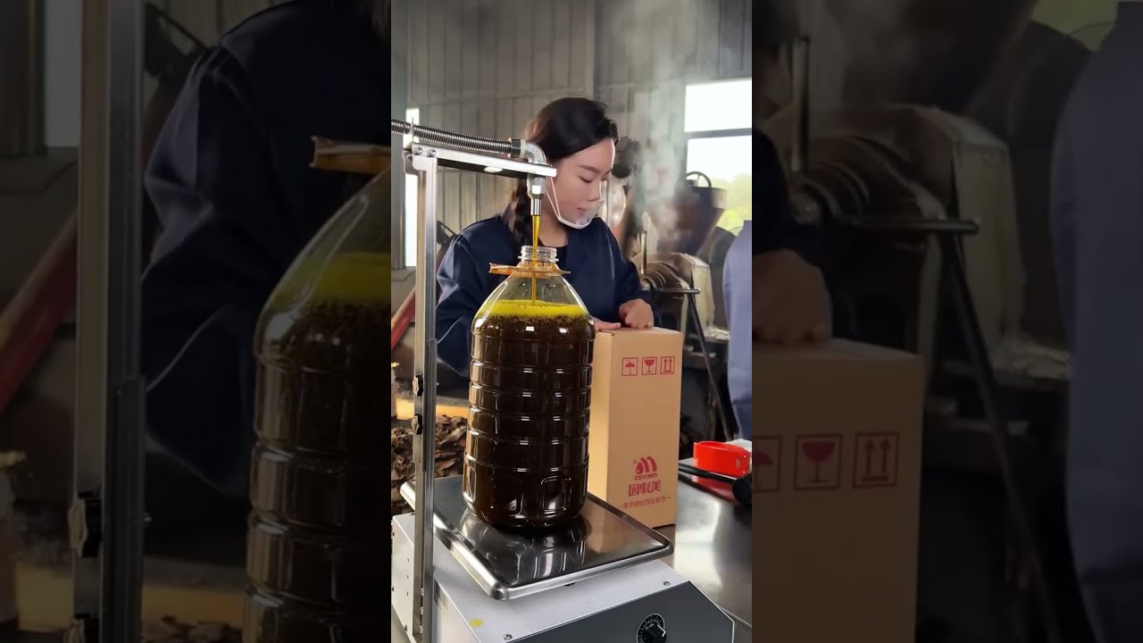 Agricultural Production Rapeseed Oil Pressing Process