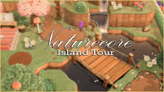 BEAUTIFUL Naturecore Island Tour | Animal Crossing New Horizons | Lexi Crossing