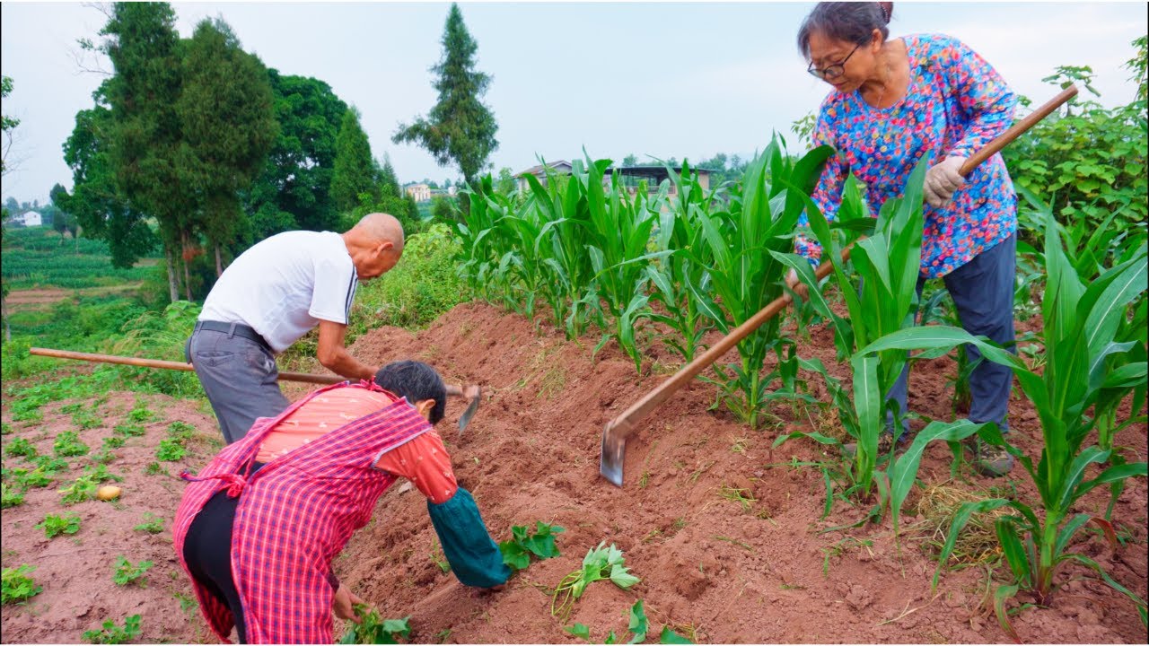 Traditional Life of 85 Year-old farmers in Remote Chinese Village - YouTube
