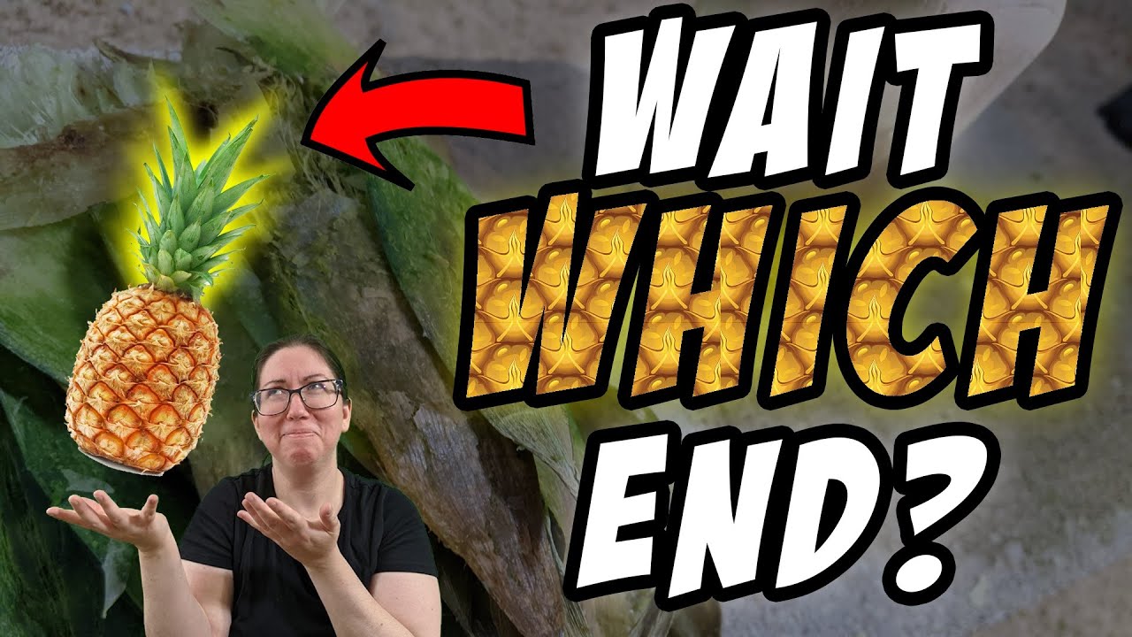 how-to-use-the-other-end-of-the-pineapple-fiber-from-pineapple-leaves