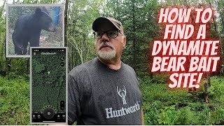 How to find a DYNAMITE bear bait site | Bear hunting made easy (almost)