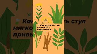 Стул каждый день!!! #рецепты #профілактика #запоры