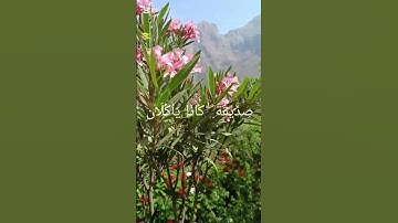 تلاوة خاشعة ومؤثرة لفضيلة الشيخ القارئ سعد الغامدي الآية رقم 75 من سورة المائدة #اكسبلور #المصحف