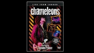 The Chameleons - Return Of The Roughnecks