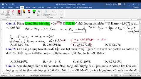 Mẫu c2 10 ns theo thông tư 77 2022