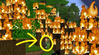 Thumbnail for This is NOT the best place to hide!