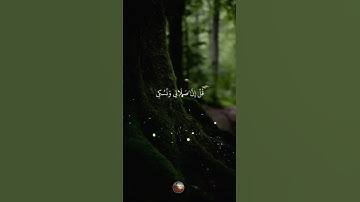 سورة الأنعام 🌟 القارئ فارس عباد 🌙 #قرآن
