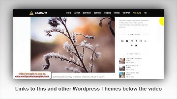 Adamant Wordpress Theme - Wordpress Theme Adamant - Video and Preview