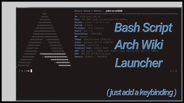 Linux bash script to launch the archwiki, with or without internet connection