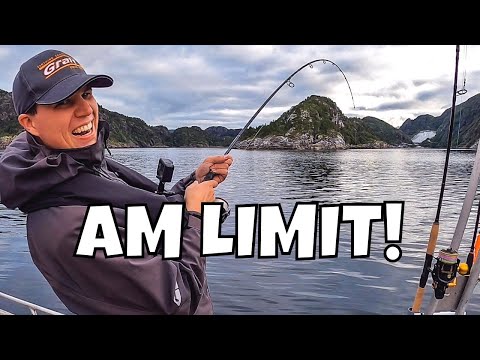 Angeln in Norwegen am Fjord | 200 Meter tief auf große Fische | Seelachs und Pollack