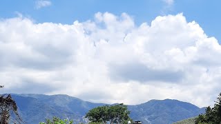 Gardenview And Misc. Is Live