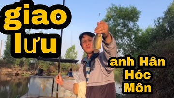 Câu Cá Rô Đồng.Hành Trình Tìm Cảm Giác Ở Kênh 61(tập 2)@ninhfishing