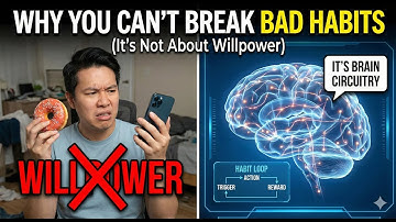Why You Can’t Break Bad Habits It’s Not About Willpower