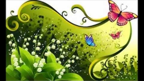 عادل ريان - سورة البقرة - اية 284